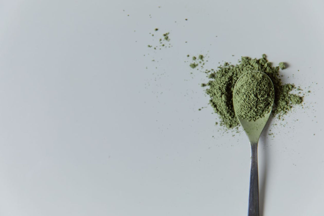 Green matcha powder on a spoon for exploring what matcha tastes like